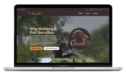 Cloud K9 Website Preview