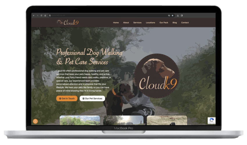 Cloud K9 Website Preview